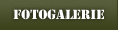 Fotogallerie